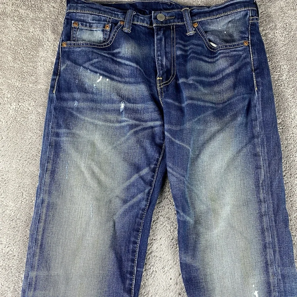 Levis some paint